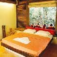 Wildernest Nature Resort (An Eco Hotel), Goa 3